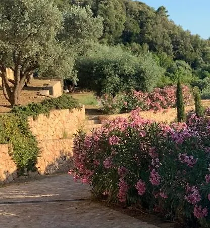 Stella D'Argento Bed & Breakfast Porto Santo Stefano  Exterior photo