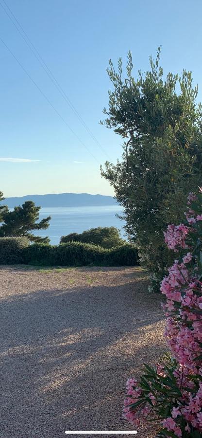 Stella D'argento * Porto Santo Stefano (Grosseto)
