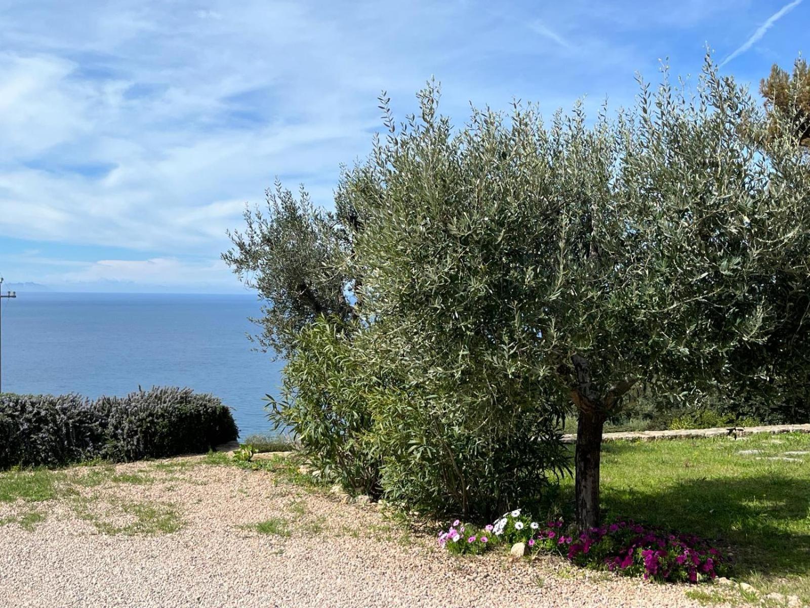 Bed & Breakfast Stella D'argento