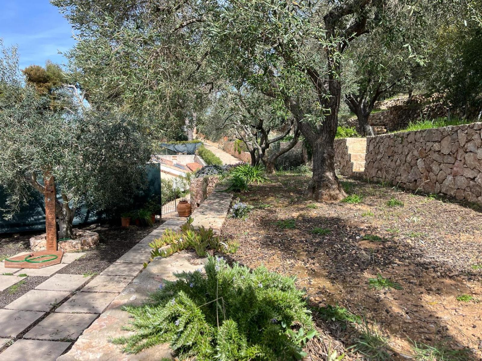 Stella D'argento Bed & Breakfast Porto Santo Stefano (Grosseto)